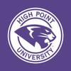AL03 - High Point University Panthers Arch Logo Long Sleeve T Shirt - 2X-Large - Purple view 3