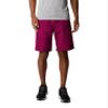 Columbia Men's Washed Out Short, Red Onion, 30W x 10L view 1