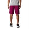 Columbia Men's Washed Out Short, Red Onion, 30W x 10L view 3