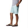 Columbia Men's Washed Out Short, Icy Morn, 30W x 10L view 3