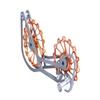 SwishTi Titanium Road Cyclocross Gravel Bicycle Bike Rear Derailleur Oversized Pulley Wheel System Cage OSPW for Shimano Ultegra Dura Ace 6700 6800 7800 7900 7970 9000 9070 10 11 Speed use (Gold) view 3
