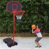 Ochine Basketball Hoop Basketball System Portable Basketball Goal Basketball Equipment with Adjustable Height 5.2ft to 7ft Backboard Stable Base and Wheels for Youth and Adults (Ship from USA) view 2