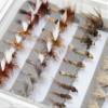 50 Produce Trout Fly Fishing Flies Kit | Waterproof Fly Fishing Box | Dry Flies, Nymphs Flies, Streamer, Stone Flies, Hopper Flies view 4