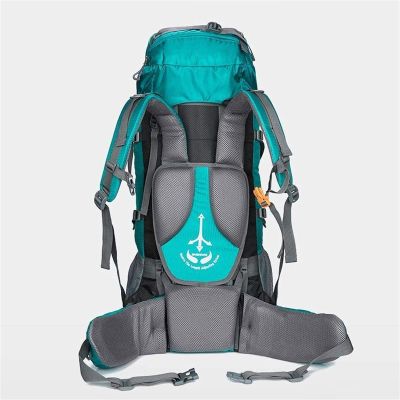 UOOD Hiking Backpack 80L Mountaineering Backpack Rucksacks for Men Women,Tear and Water-Resistant Ideal for Camping Climbing Biking Trekking Travel Outdoor(Gray) High Capacity (Color : Blue)