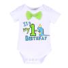 Dinosaur Outfit Boys Baby Cake Smash First Dinosaur Birthday Party Gentleman Romper Suspenders Dino Bloomers Shorts Photo Shoot # Blue + Light Green - It's My 1st Birthday 12-18 Months view 2