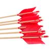 AMEYXGS 6/12 Pack Archery Traditional Wooden Arrow Target Flu-Flu Arrows with 4 Feathers Fletching for Practice Targeting Hunting(Red, 12 Pack) view 4