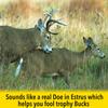 ESH Grunt Tube Deer Call  Durable, Laminated Buck Call for Deer Hunting  Deer Calls for Realistic Buck, Doe & Fawn Sounds  Lightweight, Portable Deer Hunting Accessories view 2