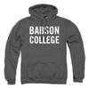 Babson College Official Stacked Unisex Adult Pull-Over Hoodie,Charcoal, 3X-Large view 1