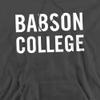 Babson College Official Stacked Unisex Adult Pull-Over Hoodie,Charcoal, 3X-Large view 2