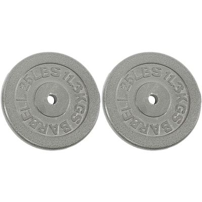 Ader Standard 1" Hole Cast Iron Weight Plate Pair- 25LB, Gray