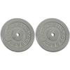 Ader Standard 1" Hole Cast Iron Weight Plate Pair- 25LB, Gray view 1