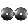 Ader Standard 1" Hole Cast Iron Weight Plate Pair- 10LB, Gray view 2