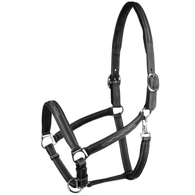 HORZE Warren Soft Adjustable Genuine Leather Horse Halter | Stainless Steel Hardware - Black - Warmblood