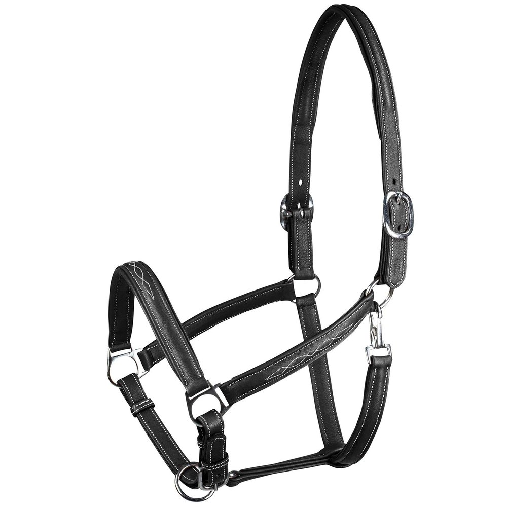 HORZE Warren Soft Adjustable Genuine Leather Horse Halter | Stainless Steel Hardware - Black - Warmblood