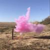BlastCloud Gender Reveal Targets view 4