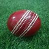 Hand Stitched 156 gm Red Cricket Ball - Pack of 12 view 2