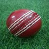 Hand Stitched 156 gm Red Cricket Ball - Pack of 12 view 4