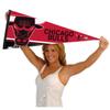 Chicago Bulls Throwback Retro Vintage Pennant Flag view 4