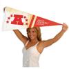 AFC Conference Pennant Flag Banner view 4