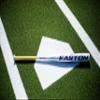 Easton | AMETHYST Fastpitch Softball Bat | -11 | 31" view 4