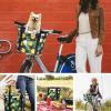 RAYMACE Bicycle Basket Dog Bike Handlebar Basket Front,Folding Detachable Quick Release Easy Install,Cycling Picnic Bag (Ananas) view 3