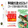 Katsuichi AD-1 Adjustable Divider Small Bus Gill Short view 2