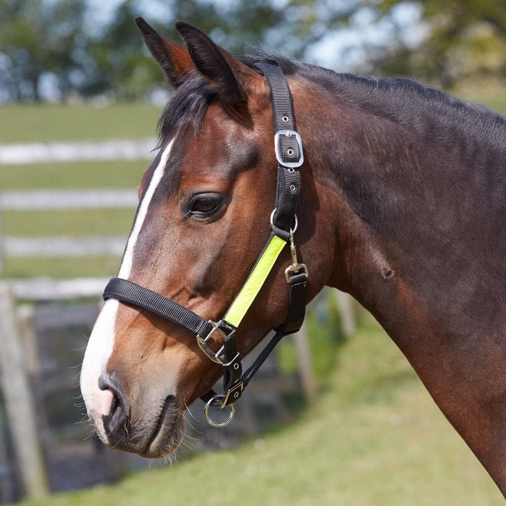 Bitz Field Safe Head Collar Black with Yellow Hi Viz Trim (Cob)