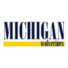 UGP Campus Apparel AW1274 - Michigan Wolverines Boldline Crewneck Sweatshirt - 2X-Large - White view 2