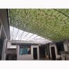 Pxzybd Camouflage Net,Oxford Cloth,Forest Landscape Camo Netting,Sun Protection/Privacy Protection,Camouflage Netting Hunting,Shade Net,2m 3m 4m 5m 6m 7m 8m 10m,jungle-3x8m(9.8 * 26.2ft) view 3