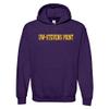 UGP Campus Apparel AH01 - Wisconsin-Stevens Point Pointers Basic Block Hoodie - Small - Purple view 1