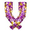 Bucwild Sports Baseball Arm Sleeve Youth & Adult 1 Pair | Football Basketball Cycling Tennis view 1
