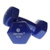 Body Sport Vinyl Coated Dumbbell Weight, 10 lb. (Pair) - Strength Training Equipment for Home Fitness & Gym Workouts (Blue) view 1