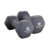 Body Sport Neoprene Dumbbell Weight, 12 lb. (2-Pack) - Latex-Free, Strength Training Equipment for Home Fitness & Gym Workouts (Gray) view 1