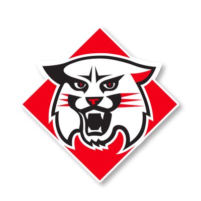 Davidson College 12 Inch Vinyl Mascot Magnet 4-Pack Officially Licensed Collegiate Product