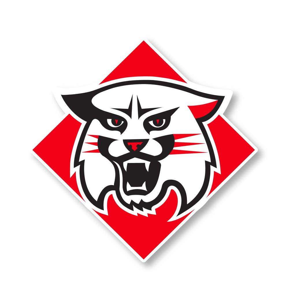 Davidson College 12 Inch Vinyl Mascot Magnet 4-Pack Officially Licensed Collegiate Product