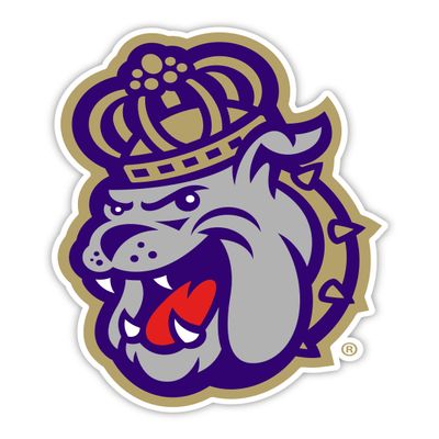 James Madison Dukes 12 Inch Vinyl Mascot Magnet 4-Pack Officially Licensed Collegiate Product