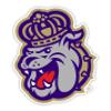 James Madison Dukes 12 Inch Vinyl Mascot Magnet 4-Pack Officially Licensed Collegiate Product view 1