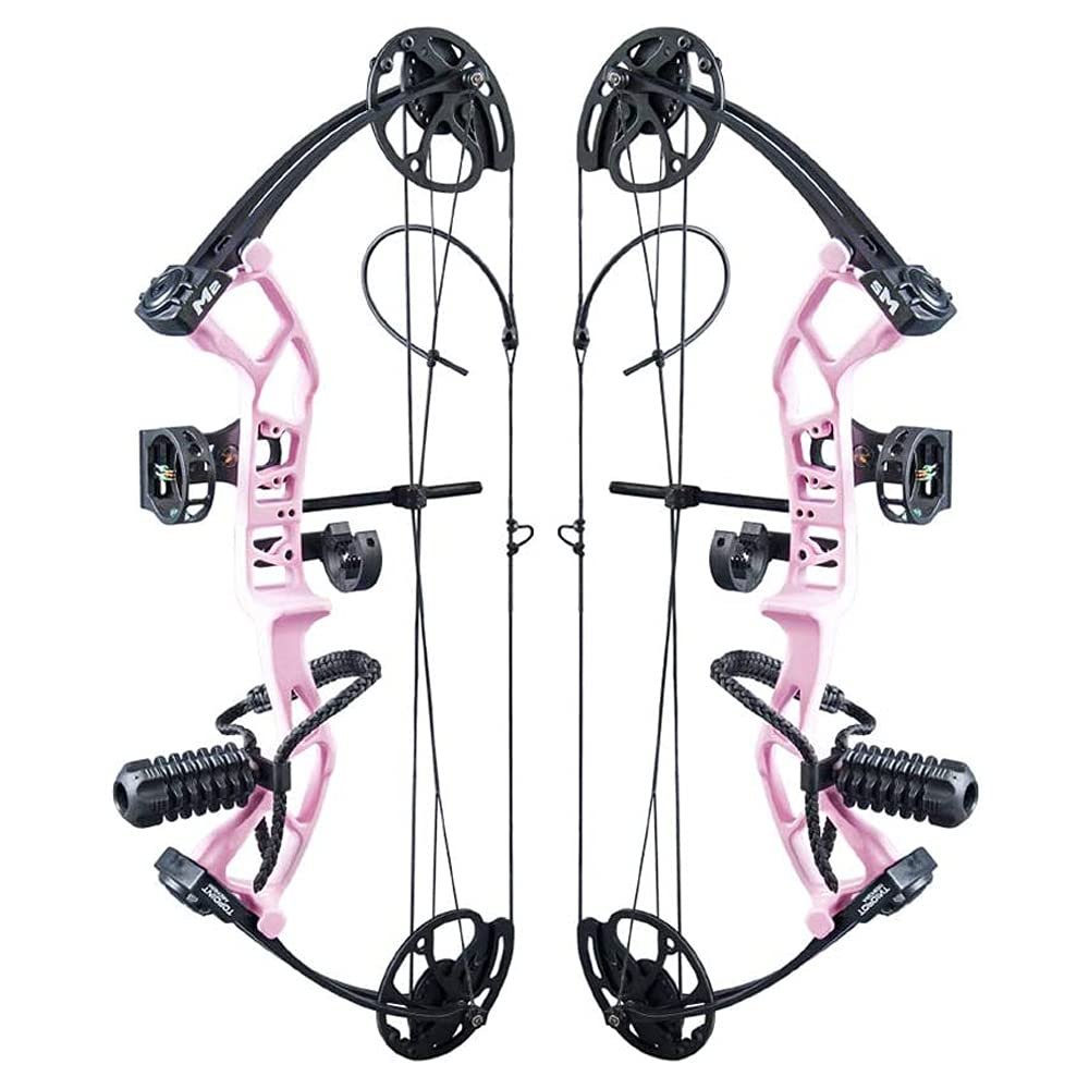 ZSHJGJR Archery Youth Compound Bow and Arrow Set Draw Weight 10-40 Lbs Draw Length 17"-27" USA-Made Gordon Bow Limbs Hunting Compound Bow Kit for Adult Beginners Teens (Pink (Bow only))