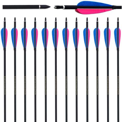 OBTOUTDOOR 12PCS 31'' Feather Fletched Carbon Fiber Arrows Spine 500/600 Archery Hunting Practice with Removable Tips for Recurve Bow (Spine 600)