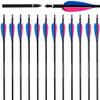 OBTOUTDOOR 12PCS 31'' Feather Fletched Carbon Fiber Arrows Spine 500/600 Archery Hunting Practice with Removable Tips for Recurve Bow (Spine 600) view 1