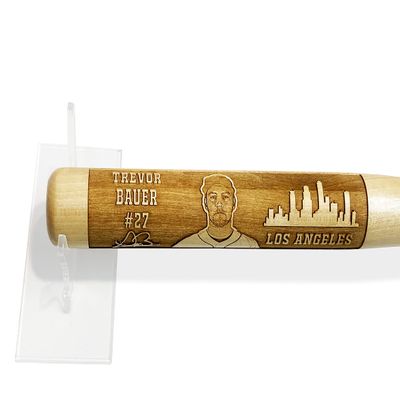 Best Baseball Gifts Laser-Engraved Design-17 Wood Baseball Bat (18" Miniature)