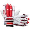 CW Player Choice Cricket KIT Youth Size Full Set Cricket KIT Bag Full KIT Full Size Unisex Cricket Kits Cricket KIT Full Cricket KIT Full Cricket Set Leather BAT Junior Cricket KIT Set 3 for 5-7 YR view 4