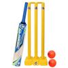 CW Bonzer Cricket Kit for Boys of 11-13 Year Old Full Kit Size 6 Includes Natural Willow Cricket Bat with Heavy Wind Balls Wicket Plastic Stumps Set & Bails view 1
