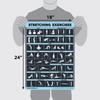 2 Pack Stretching Exercises and Muscular System Anatomy Poster Set - Laminated 2 Chart Set - Stretching Workout Routine & Muscle Anatomy Diagram [DARK] (LAMINATED, 18 x 24) view 2