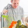balacoo 3pcs Swimming Fish Tank Catching Nets Hanging Compact Design for Includes for Versatile Use view 3