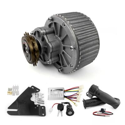 Freewheel Bike DC Motor Scooter Motor Bicycle Gear Reduction Motor DIY Bike (36V)