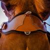 Total Saddle Fit - StretchTec Shoulder Relief Cinch - Black w/Neoprene view 2