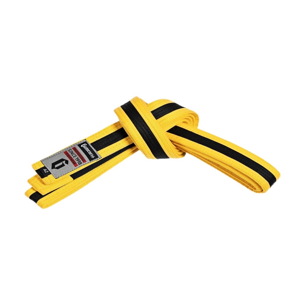 Gameness Youth Jiu Jitsu Striped Belt | BJJ Belt for Kids | Jiu Jitsu Youth Striped Belt from Sports Yellow/Black A2