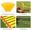 Agility Ladder Multifunctional Training Jump Ladder,Flexibility Fitness Jumping Ladder Footwork Sport Equipment, for Personal Training(Size:3M) view 3