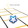 Agility Ladder Adjustable Double Row Agility Ladder,Speed Training Equipment,Football Flexibility Training Jumping,for Outdoor Athletic Footwork, Sports Drills(Size:3M) view 2